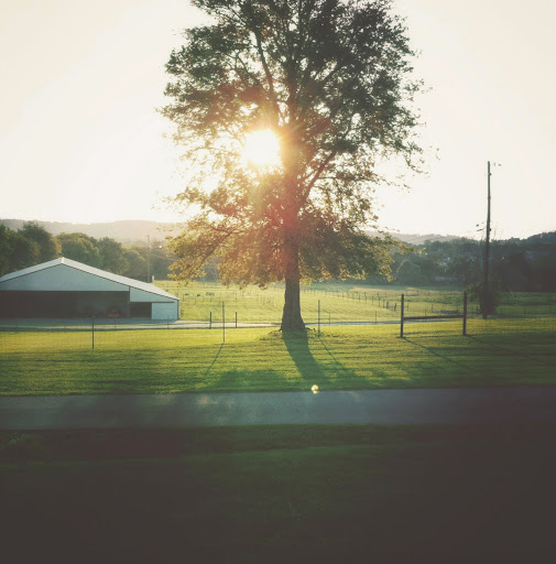 the farmhome porch view never gets old…