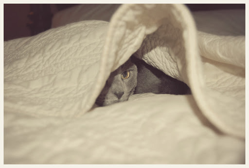 we’re hiding out from the storms today…
