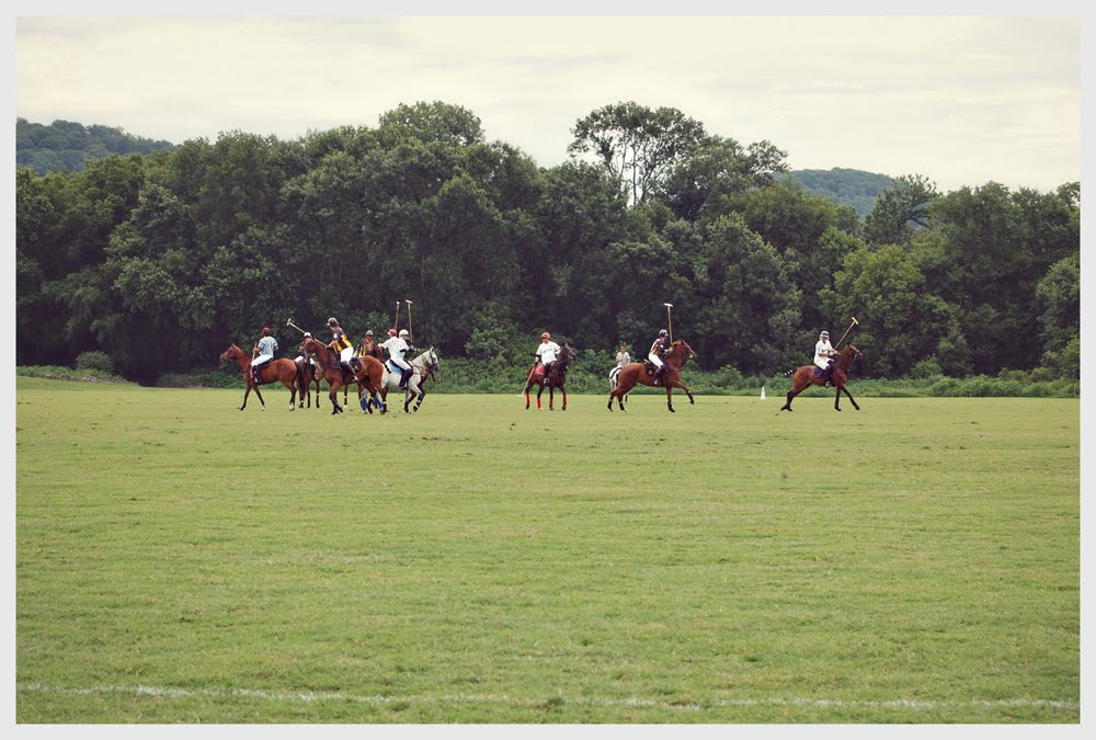 polo friends