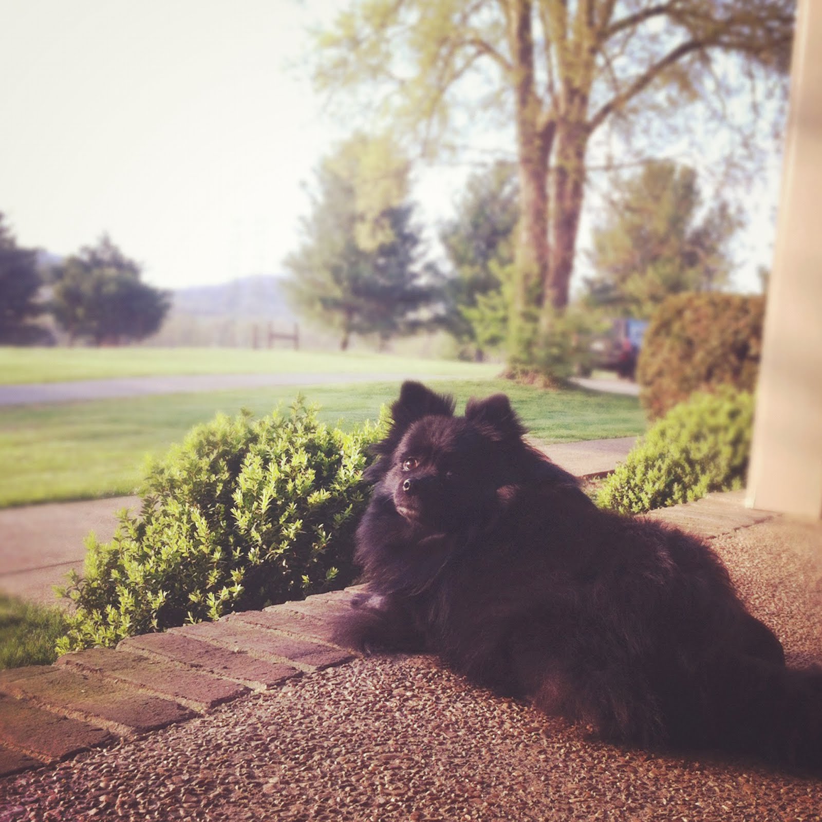 minnie and i have a shared passion for sunshine and porches.