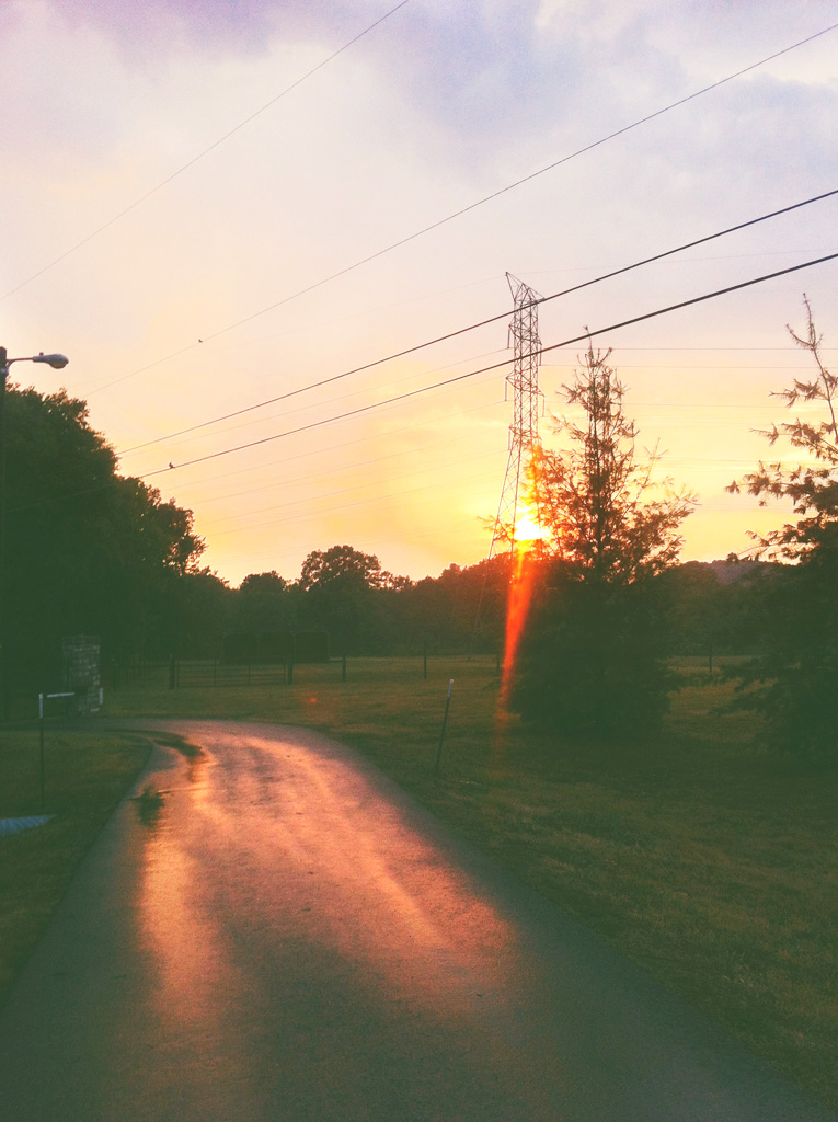 it rained a little. we took a walk. he brought a glass of red. i stole a few sips.