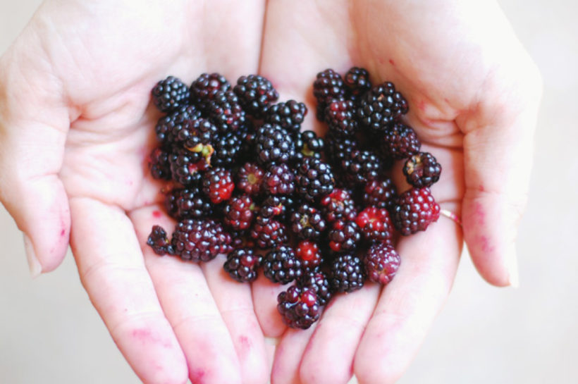 pickin’ wild blackberries!