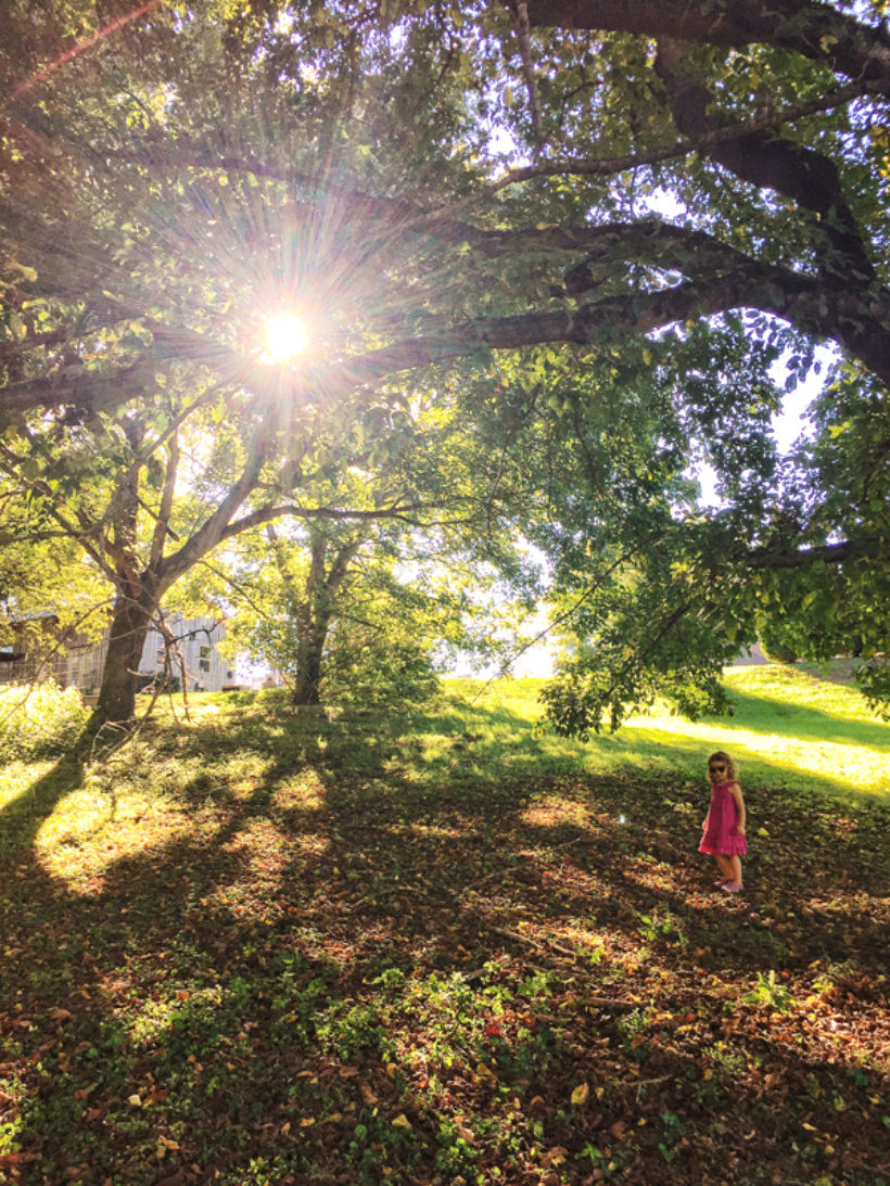 give me aaall the golden sunbeams