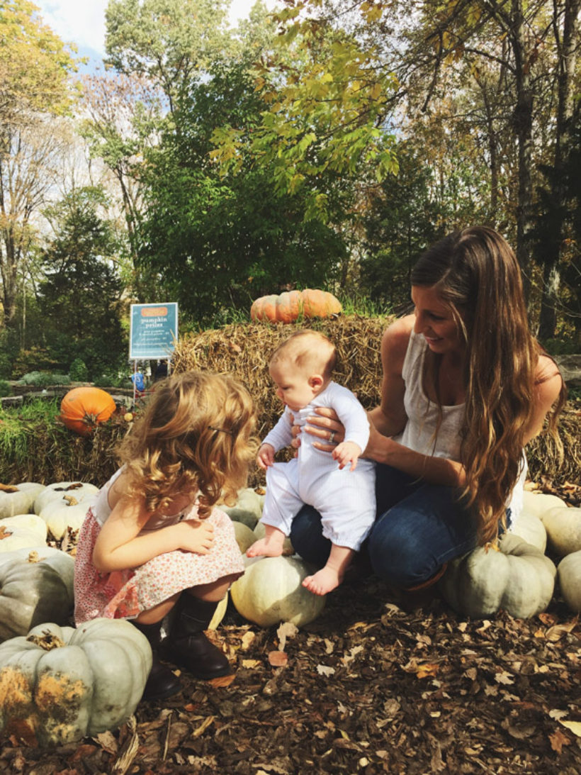 cutest pumpkins in the patch! [pumpkin pickin’ at cheekwood!]