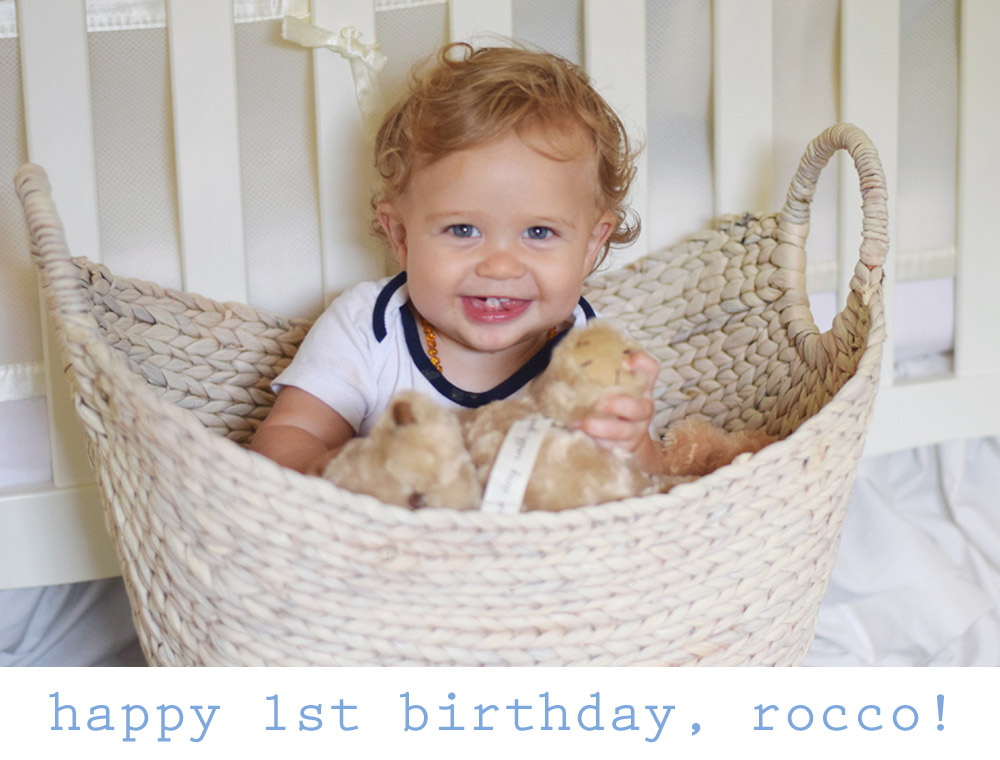 happy 1st birthday to our rocco!!