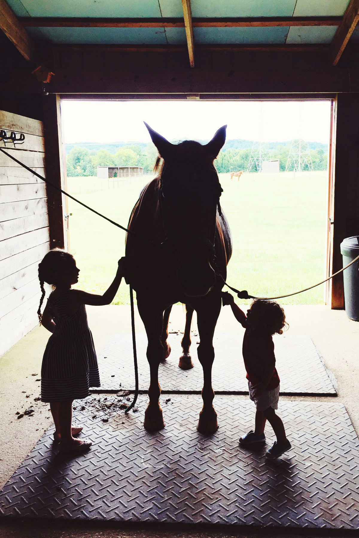 barn nesting!