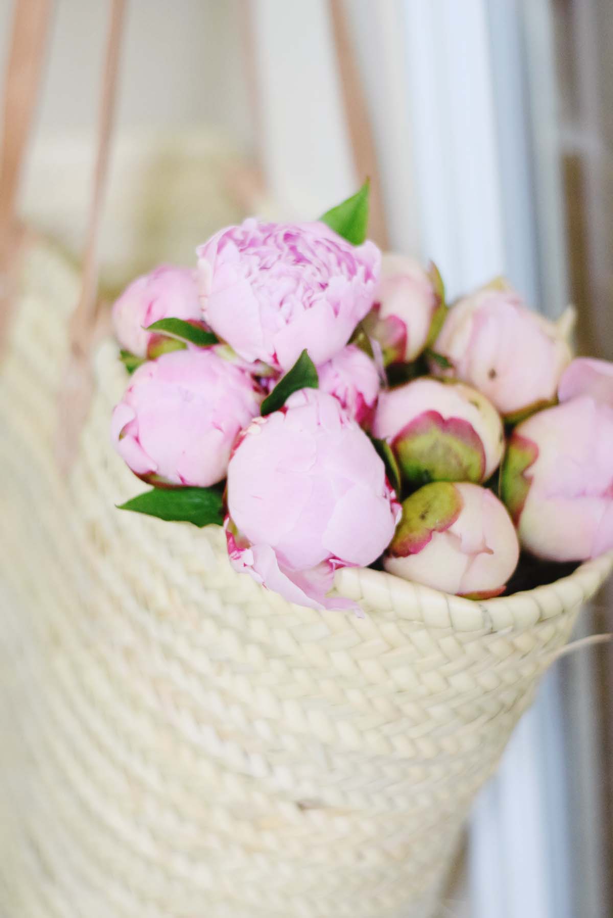 the prettiest peonies!