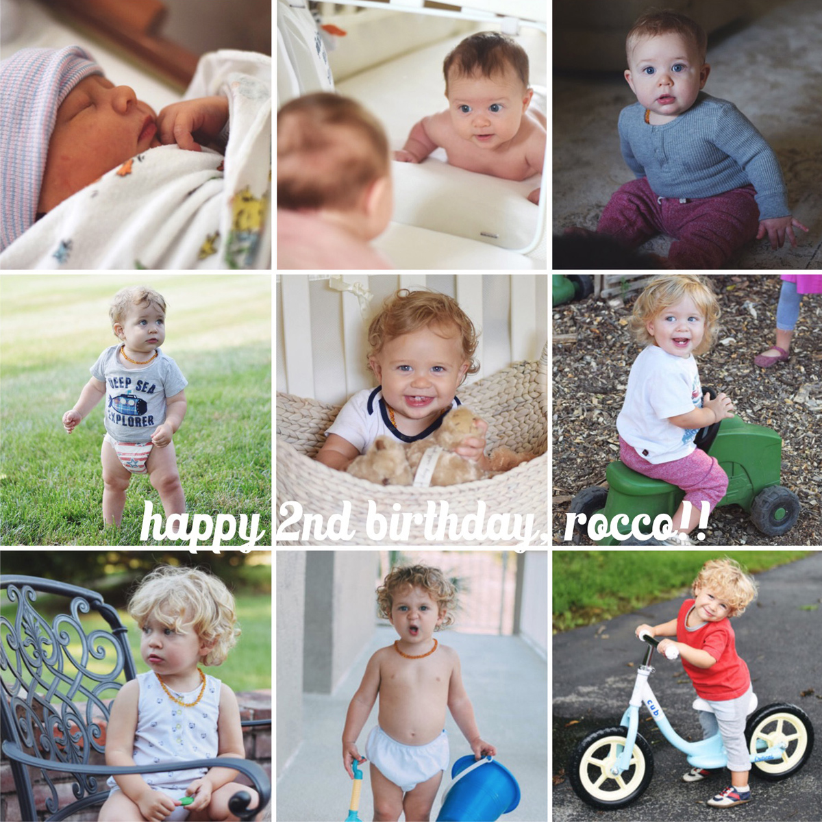 happy 2nd birthday, rocco!!!