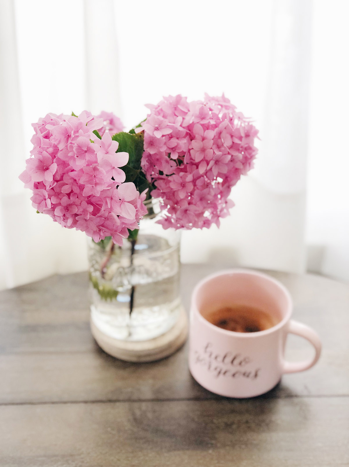 coffee, kitties, and homegrown hydrangeas