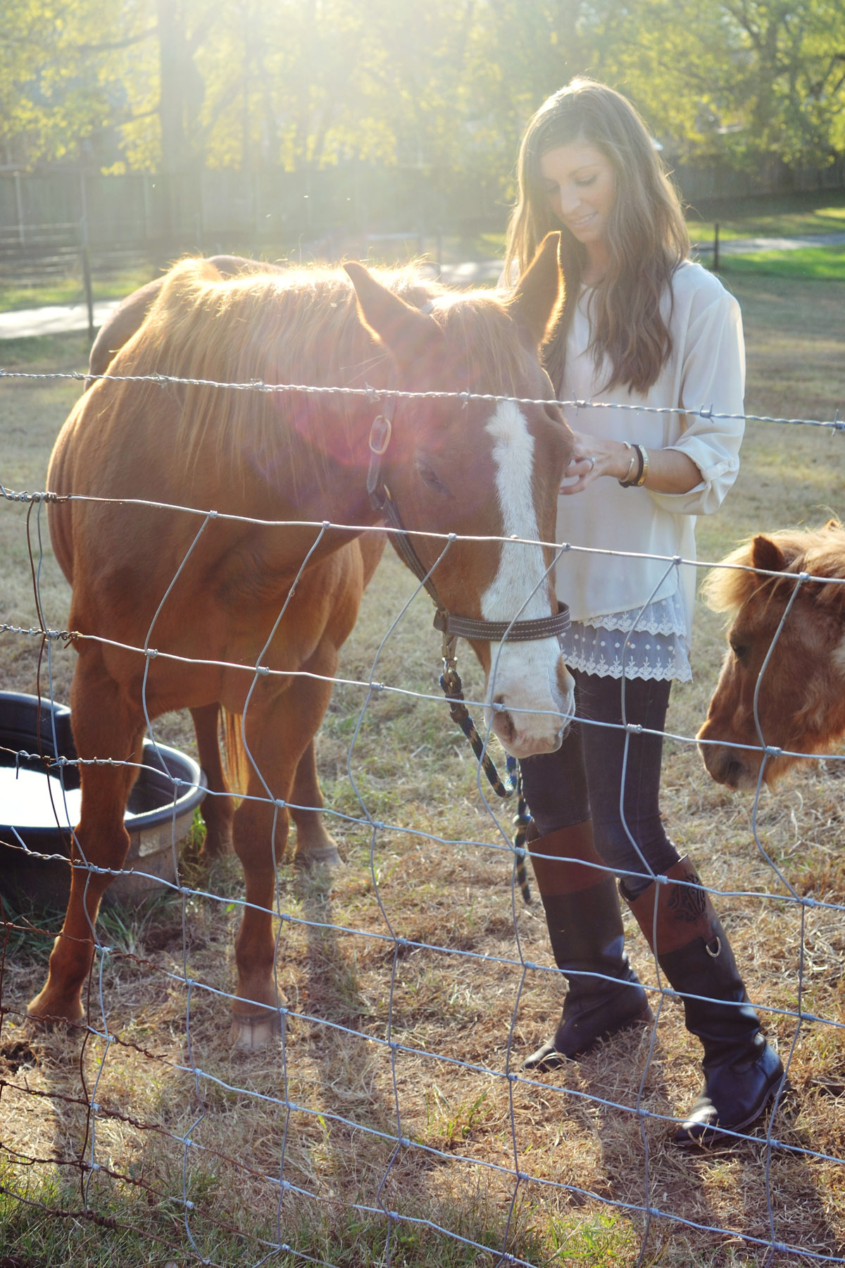 casey the angel horse