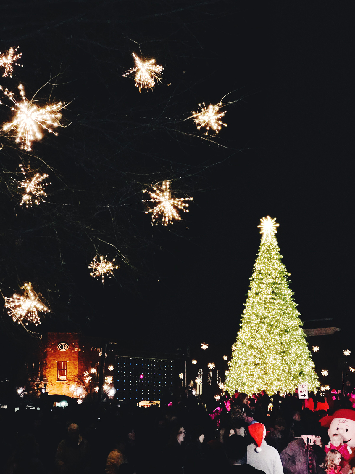 the downtown franklin tree lighting!