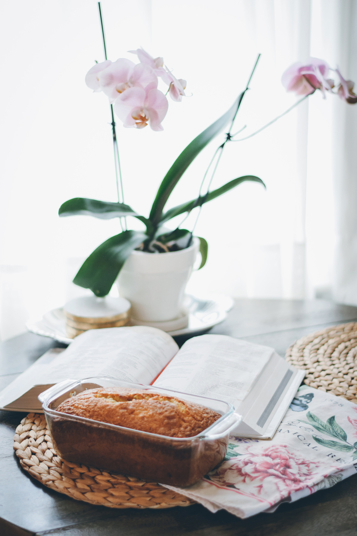 nanner bread & fixer upper marathons