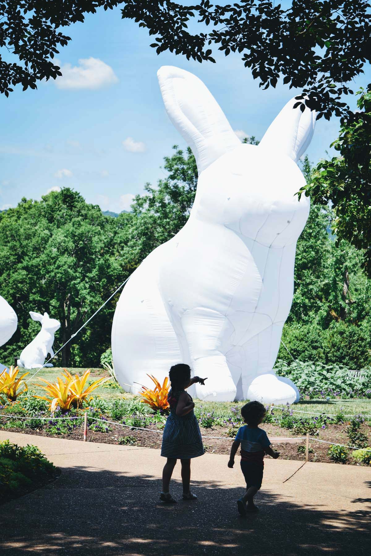 so many BUNNIES! | the intrude installation at cheekwood