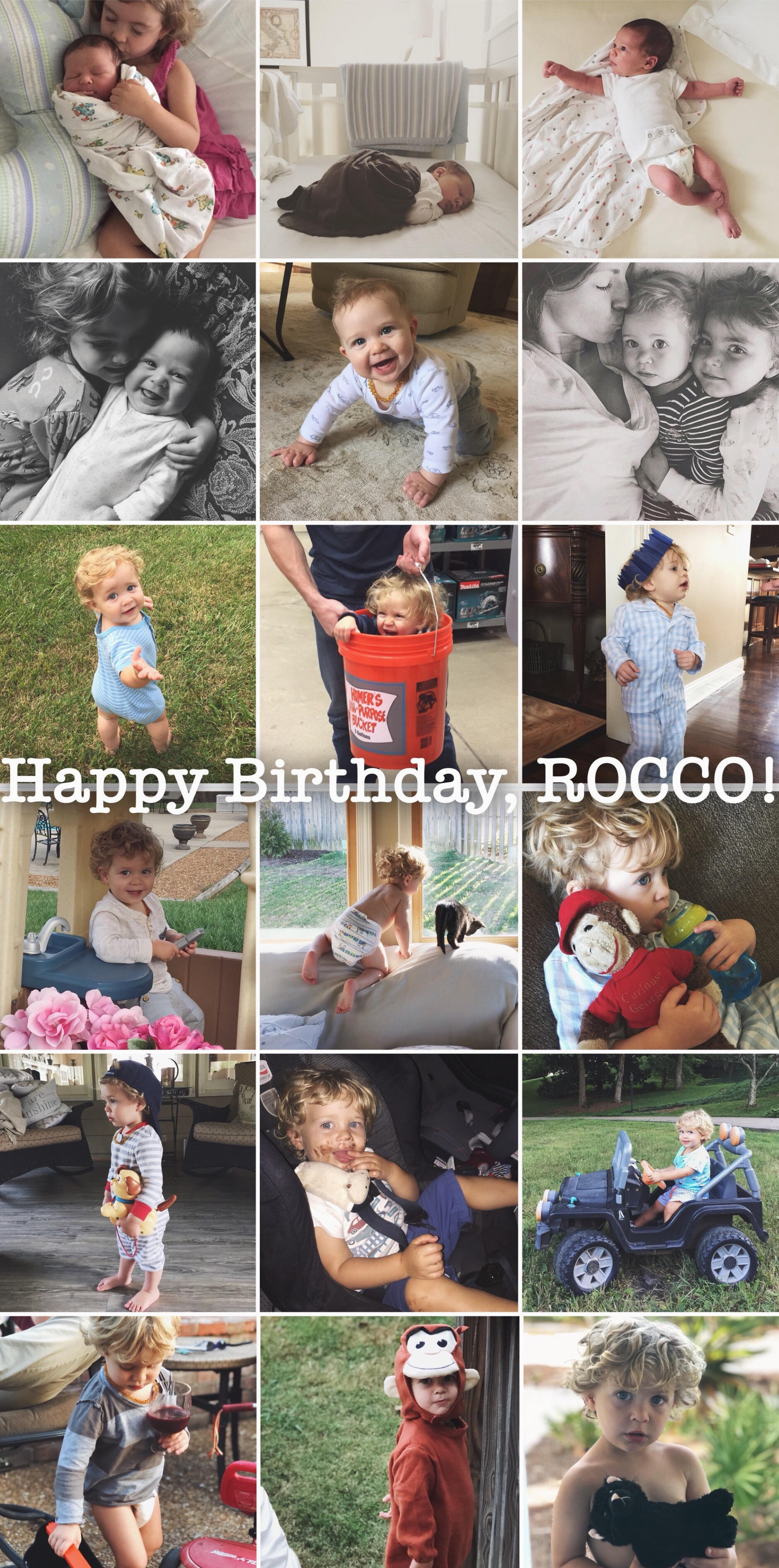 our rocco boy is THREE!!