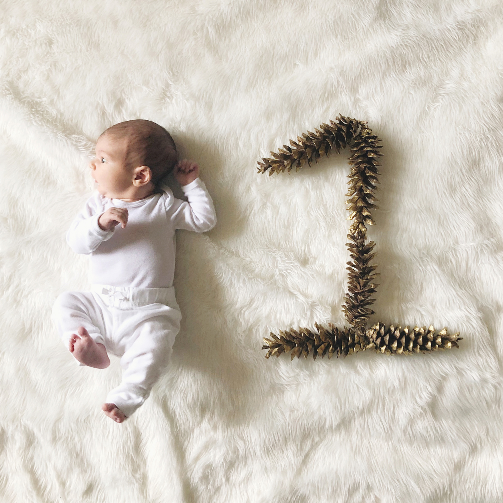 luca bunny, one month old!