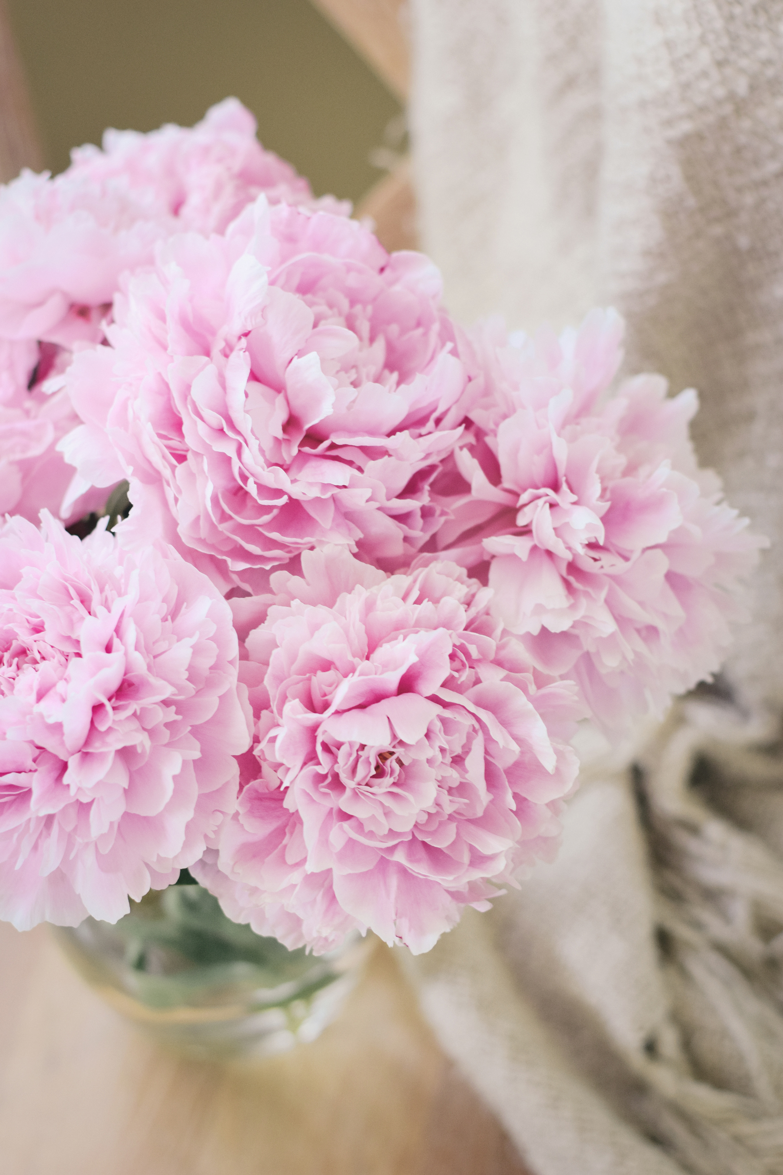 peony perfection