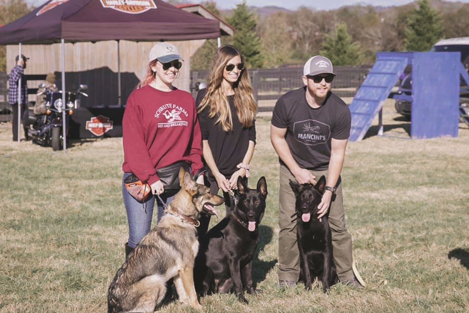 siblings and sisterwolves