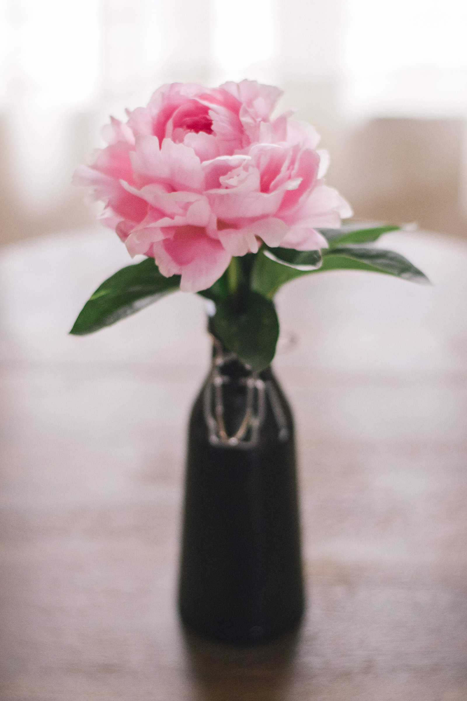 pretty pink peonies, how i miss you already!